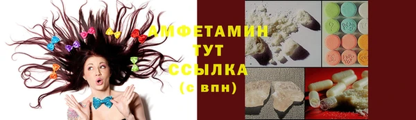 МДПВ Протвино