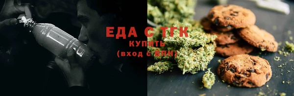 тгк Алзамай