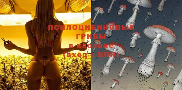 прущие грибы Алексеевка
